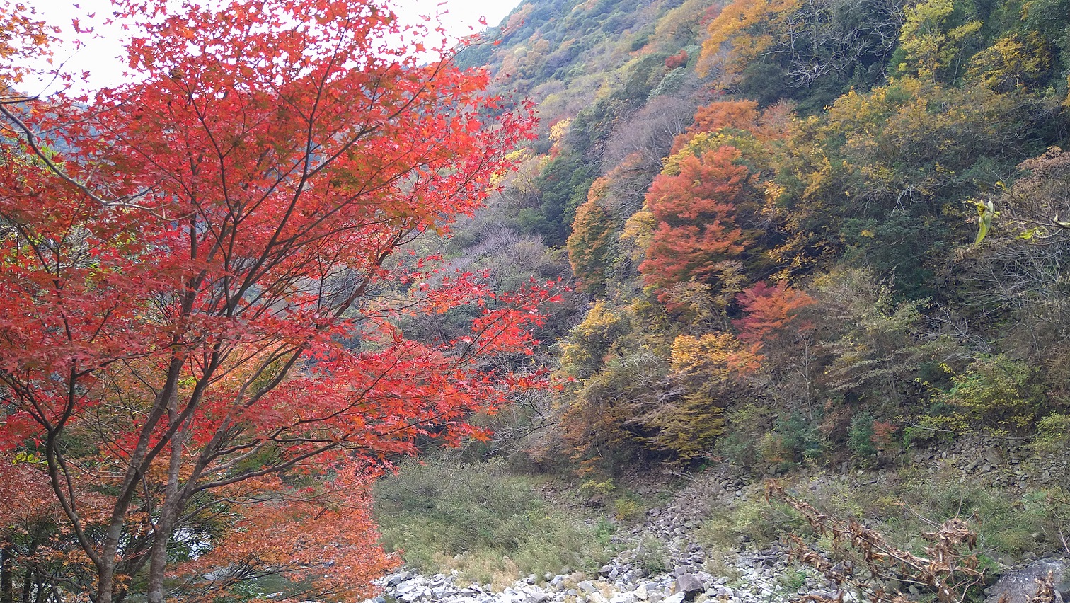 旧福知山線廃線跡 ～2021秋～